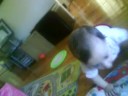 liel twina