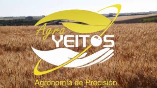 Ensayos de campo a largo plazo