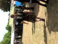 videos de MVI 1943