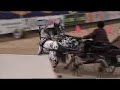 Spotty pony scurry driving