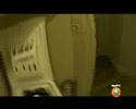 Teaser série TV : \"Chat alors\" Teaser série TV : \"Chat alors\"
