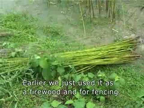 See video