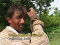 Electricity from biomass Electricity from biomass