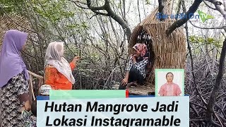 Hutan Mangrove Jadi Lokasi Instagramable Baru di Aceh Singkil
