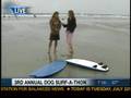 Surf Dog Louie on San Diego 6 News