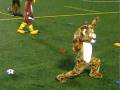 Nela Tiger mascot 2