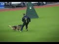 Our dog - German Shepherd Aurum Aglis Vinika (vom Irin Hof kennel Irina Kuznetsova ) has successfully passed protection-test on SV BSZS-2006 in OberhausenНаша собака - немецкая овчарка Аурум Аглис Виника из питомника фом Ирин Хоф (владелец Ирина Кузнецова ) успешно прошла проверку поведения и хорошо выступила в сравнительном ринге на Бундес Зигер 2006 в Оберхаузен.More info on my VirtualTravel page:http://members.virtualtourist.com/m/tt/79622/#TL
