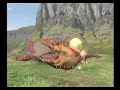 MHG?? ?????? MHG?? ??????