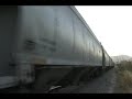 ferrocaril manzanillo  gdl