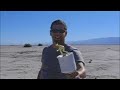 Paulio Desert Bocce