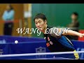 Tribute to Wang Liqin