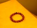 Gelang Batu - www.kebunsayur.com