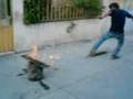 videos de Ollie con fuego boneless comohacerlos el snaw