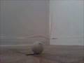 videos de Ping Pong Ball On Fire