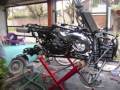 BANSHEE BLACKSHEE