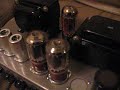 CUSTOM CUCCI AMP 2.5 CUSTOM CUCCI AMP 2.5