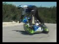 Ricardo Domingos Arrepiado Team Ricardo Domingos Arrepiado Team