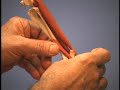 Dog Anatomy Interest: Anatomy in Clay? Dog Anatomy Interest: Anatomy in Clay?