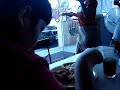 Diego Rozul eating