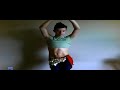 shakira   wally bellydancers