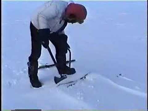 Alaska in Winter Part 2