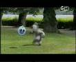 bernard-de-pe-cartoo