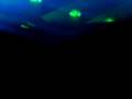 videos de Sensation White 2008 By Cuky