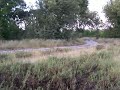 baboons on the run!