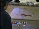 ホーム突き落とし事件～岡山駅