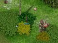 Ragnarok Online Mobbing Orc Warriors Ragnarok Online Mobbing Orc Warriors