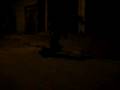 videos de CIMG3004.MOV