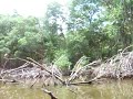 Parque Nacional Laguna de Tacarigua