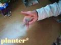 JapEn mod