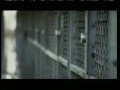 Please help shelter dogs!!