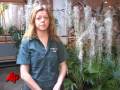 Caring for Houseplants in Winter