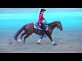 FEI World Reining Ch.ship 2008, #10 Ann Fonck Poels BEL