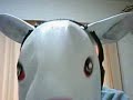 全力ウサギ