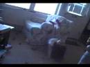 Kidz @ Home 5/2008