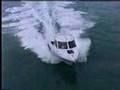 AMF 660 Hardtop Cabin NZ Plate Alloy Boat Action