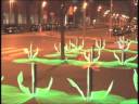 Jugando con luz