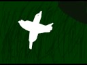 Bird is the Word Bird is the Word