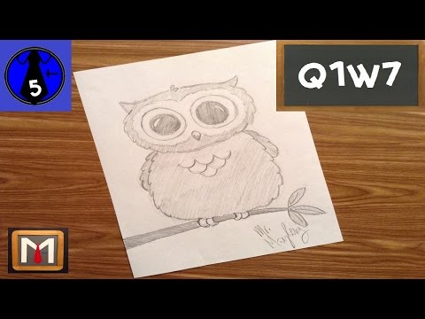 how to draw owls