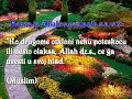 Sudnji Dan