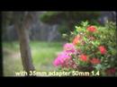 HV20+35mm+canon Various Lens