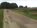 suzuki t350 suzuki t350