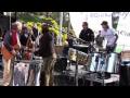 Mickey Hart, Bob Weir, Joan Baez, Tommy Lee.flv