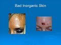 Organic Beauty Vs. Toxic Beauty--Anti-Aging