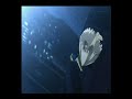Cry for freedom-Fate Stay Night-Helloween