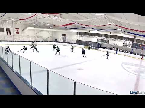 #54 - Ty Denninger nice backhand goal in Chicago tournament