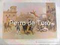Una Leyenda Viva Alano Español